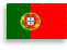 Portuguese Language Translation